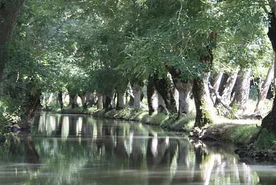 Marais poitevin, Deux-Sevres, France
