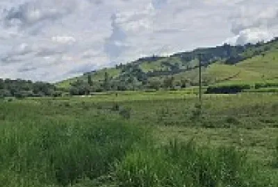 Bandeira e BrasÃ£o de goncalves