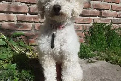 keila