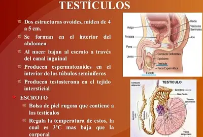 yurizule jigsaw puzzle