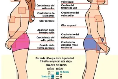 Cambios fisicos jigsaw puzzle