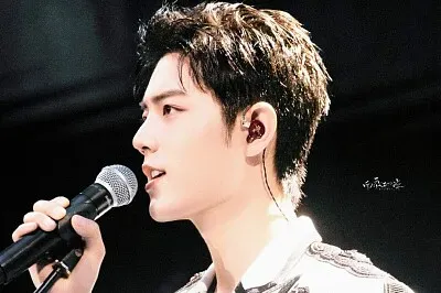 Chinese actor  Xiao Zhan jigsaw puzzle