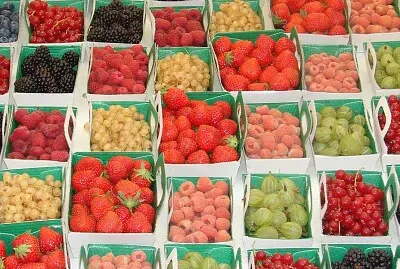 Marché de Gordes, Vaucluse jigsaw puzzle