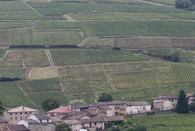 Vignoble de Pouilly, Nièvre