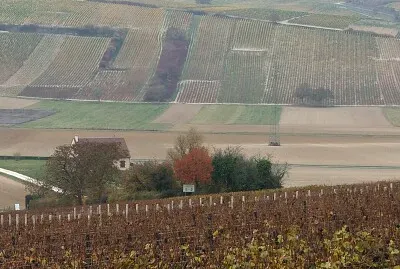 Vignoble de Sancerre, Cher