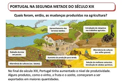 modernizaÃ§Ã£o da agricultura