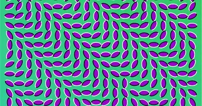 פאזל של optical illusion