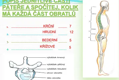 pÃ¡teÅ™