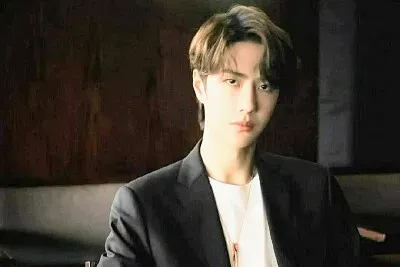 Chinese actor Wang Yibo jigsaw puzzle