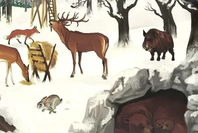 animale  sÄƒlbatice iarna