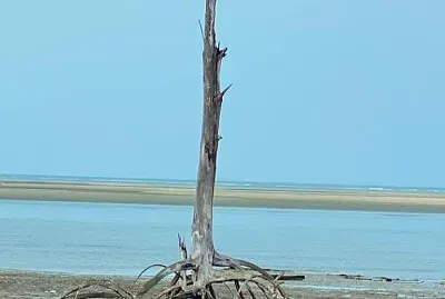 CENÃRIO K412