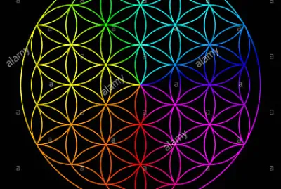 rainbow flower of life