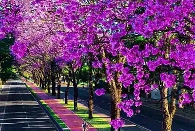 imagem jigsaw puzzle