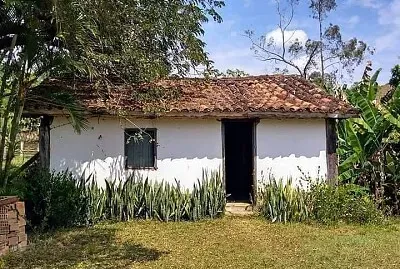 roça