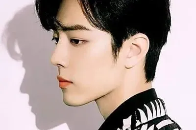 פאזל של Chinese actor  Xiao Zhan