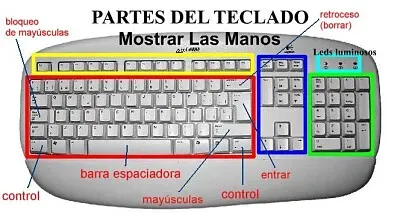TECLADO Y SUS DIVISIONES