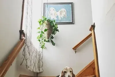 guardian jigsaw puzzle