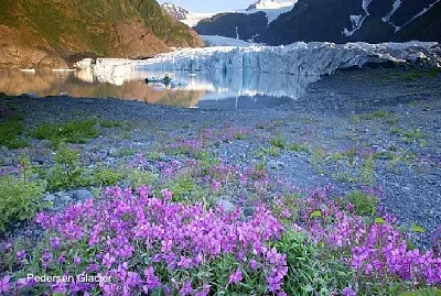 Parque Nacional de Kenai (Alaska)