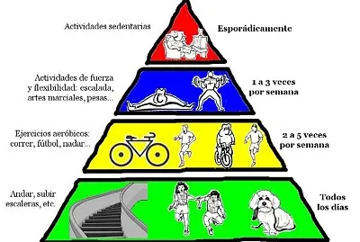 Importancia del ejercicio fisico