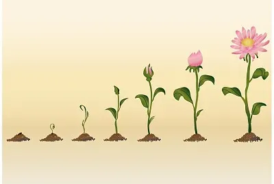 ¿Qué palabra se relaciona con esta imagen?