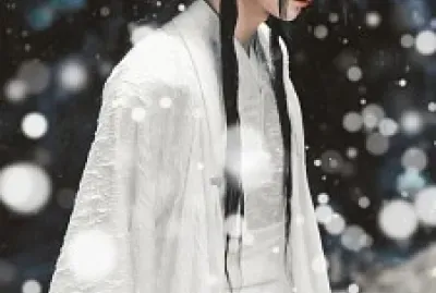 snowlan jigsaw puzzle