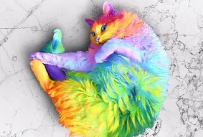 Colorful Cat