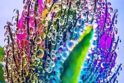 Colorful Water Bubbles