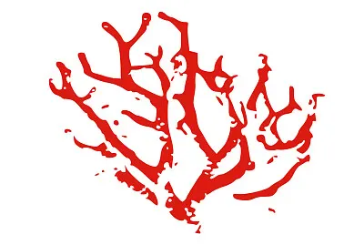 Le Pêcheur de Corail