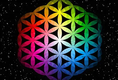 The flower of life