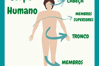 CORPO HUMANO