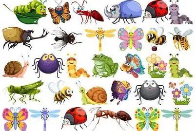 פאזל של Insectos