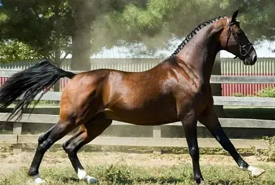 Hackney jigsaw puzzle