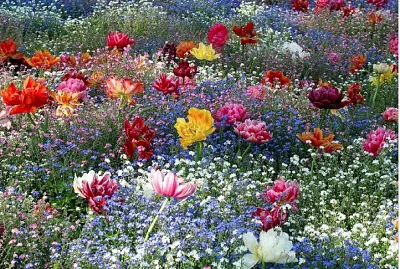 printemps