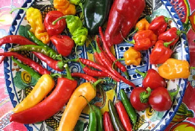 VARIEDAD DE CHILES jigsaw puzzle