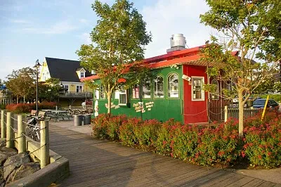 Ex train jigsaw puzzle