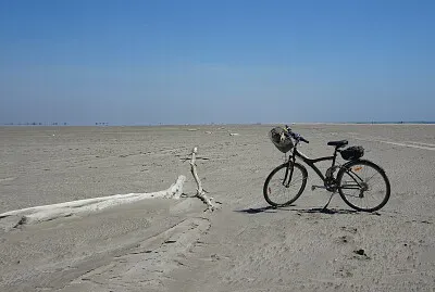 Camargue