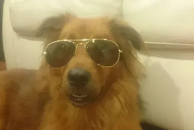 פאזל של pastoral