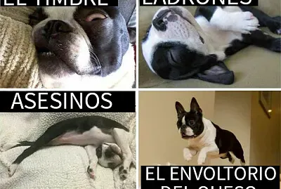 pastoral jigsaw puzzle