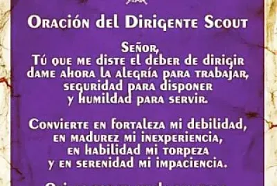 scouts