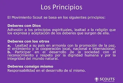 principios scouts