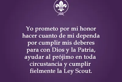 promesa scout