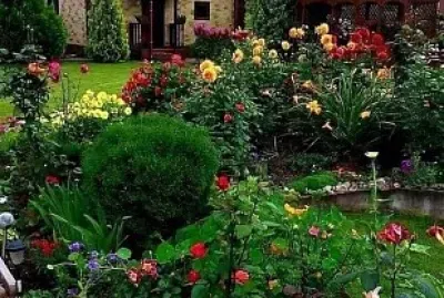 jardim
