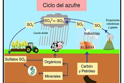 ciclo del asufre