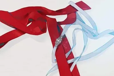 CHINA The Untamed jigsaw puzzle