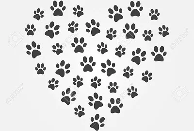 cats14 jigsaw puzzle