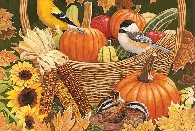 Citrouilles de Paques