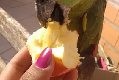 Nathalia Do Valle Rocha