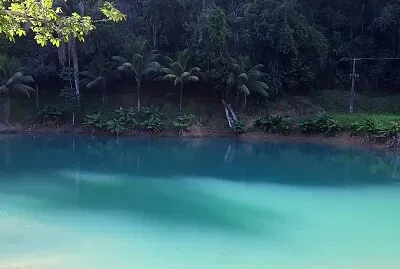 ALEX SANDRO SOARES SILVA