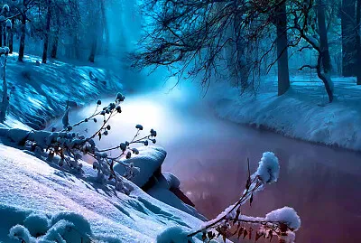 331- BOSQUE EN INVIERNO