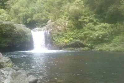 famille jigsaw puzzle